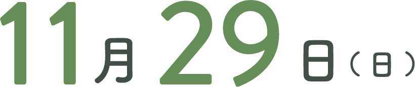 11月29日(日)